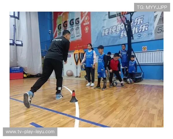 篮球培训机构在中国城市教育资源结构中的分布，篮球培训机构的主管部门是哪里