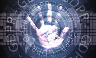 乐鱼电竞在线平台登录入口-体育新闻中心上线智能体育赛事数据可视化系统，智能体育运动平台